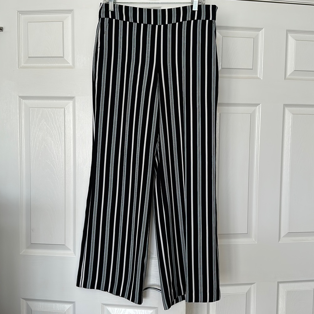 Ann Taylor factory wide, leg pants side zip